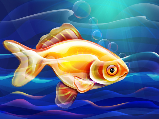 416229 (a): :1600x1200